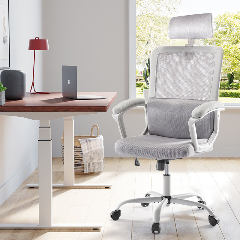 Latitude Run® Home Office Computer Mesh Ergonomic Task Chair & Reviews